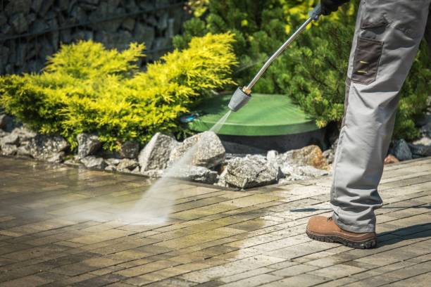 Best Parking Lot Cleaning in Maple Grove, MN